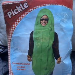 The Pickle Costume