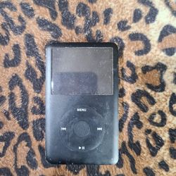 Ipod 80g