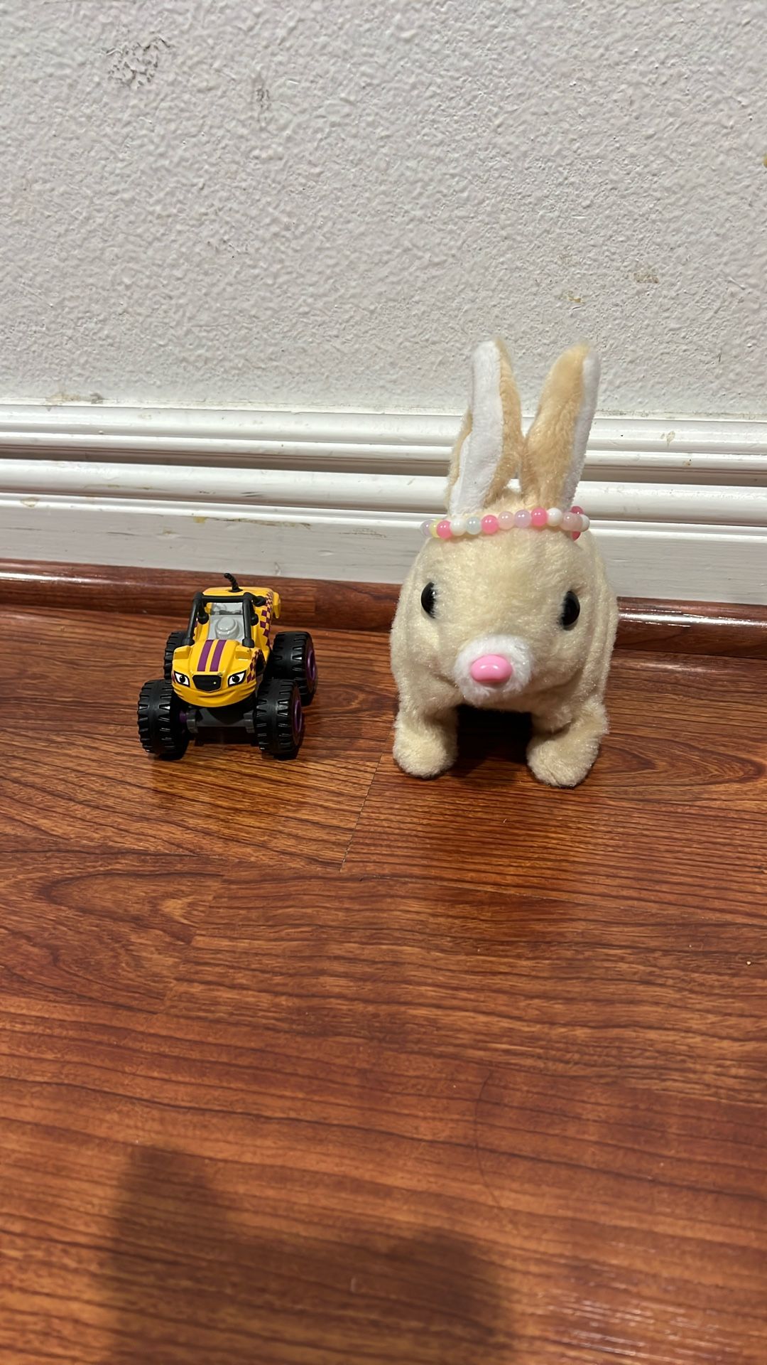 Car And Bunny