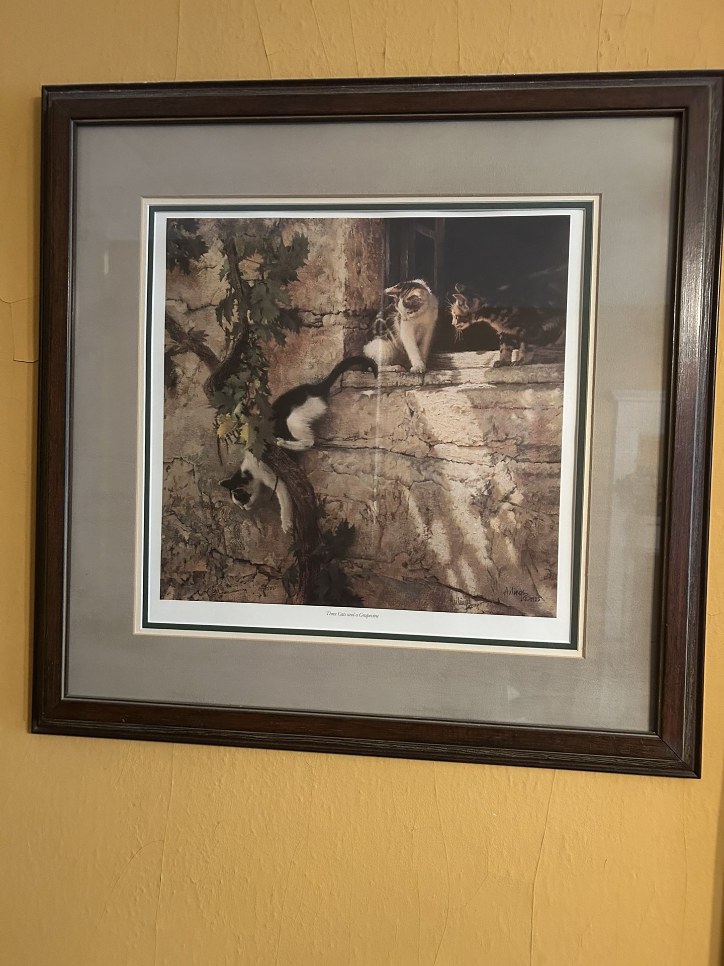 Large Framed Cat Print