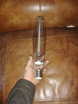 Grow Light Bulb 