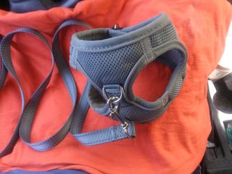 Joytale vest with leash XS