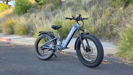 Puckipuppy Fat Tire Electric Bike