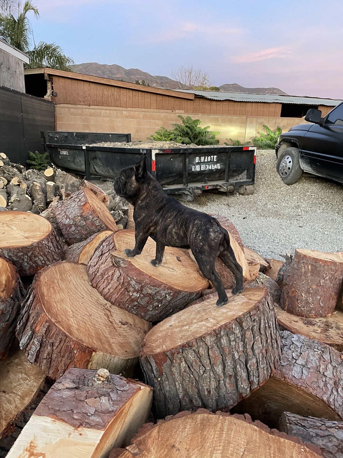 Fire Wood Available