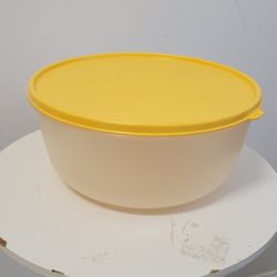Vintage Tupperware Container 