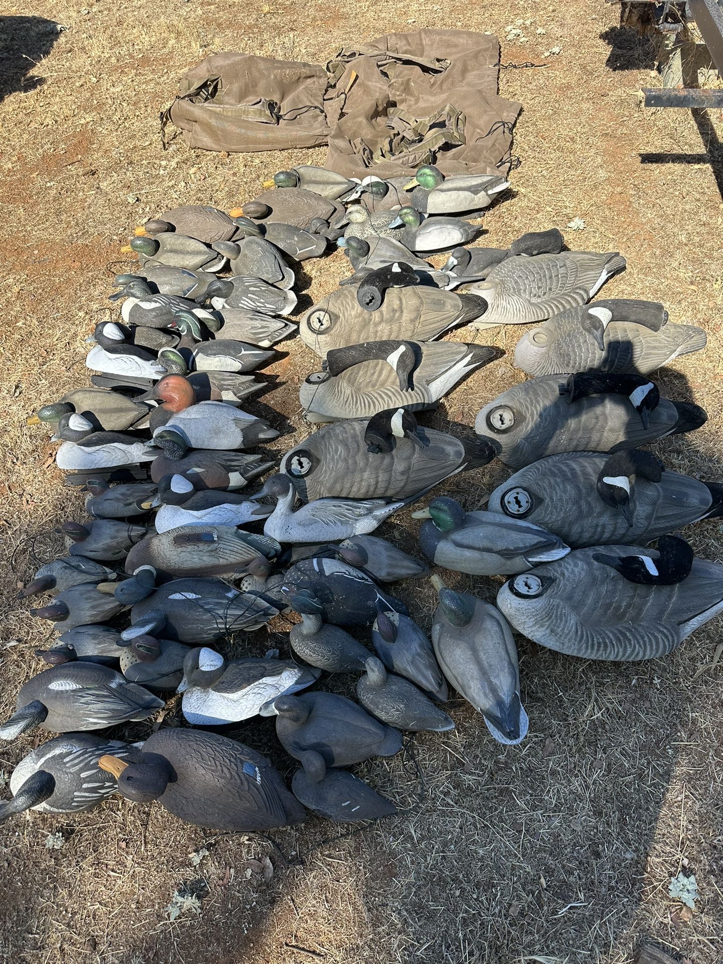 Duck And Goose Decoys