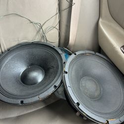 3.   12 Inch Celestine Car Speakers 