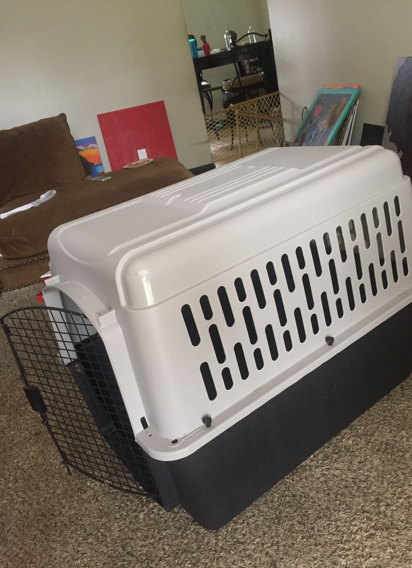 Large dog kennel