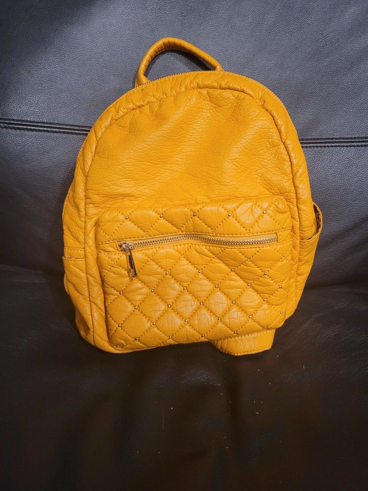Backpack/Purse