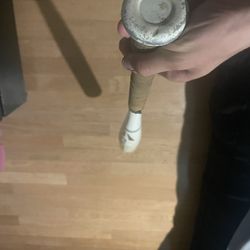 Easton Bat 31 Inch, Z-core