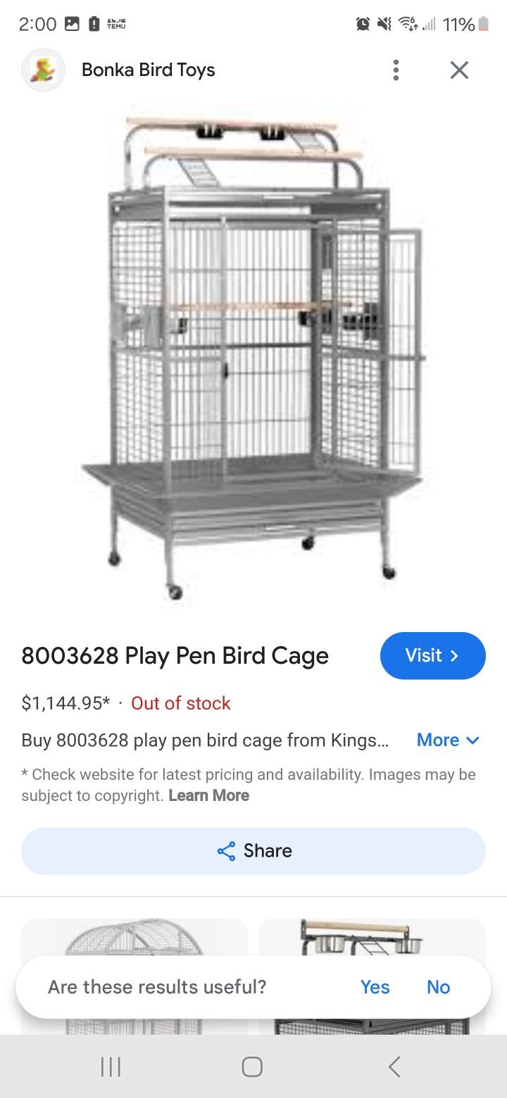 Bird Cage 