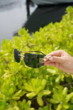 sunglasses
