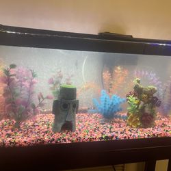 Fish Tank / Aquarium - Complete 