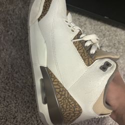 Jordan 3s 