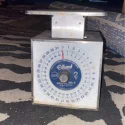 Scale