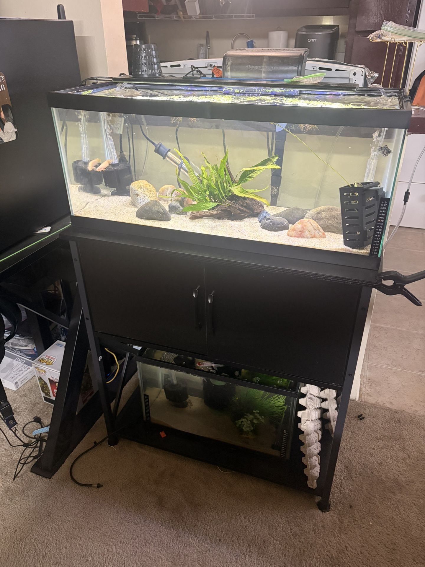 Fish Tank Stand