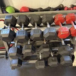 York Dumbbells With Rack (55-80 Lbs)
