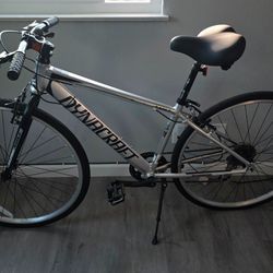 Bike- Dynacraft Alpine Eagle