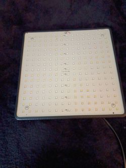 Grow light