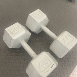 45 Lbs DumbBells 