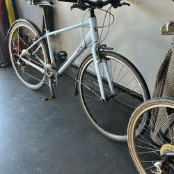 Liv Flight Giant Brand Bike 