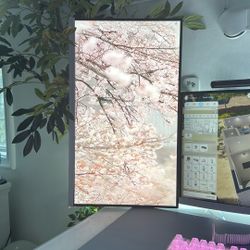 LG ultra gear 27” Gaming Monitor 