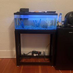 Fish tank