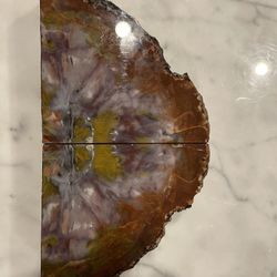 Petrified Wood Book Ends (2)