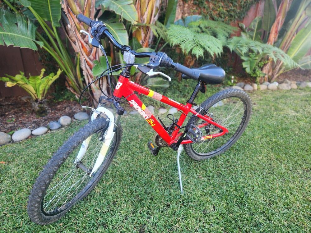 Youth Mountain Bike - Diamondback Octane 24
