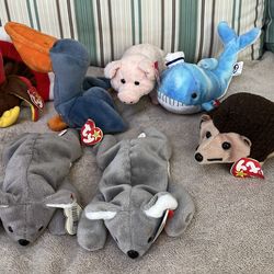 Ty Beanie  baby collection