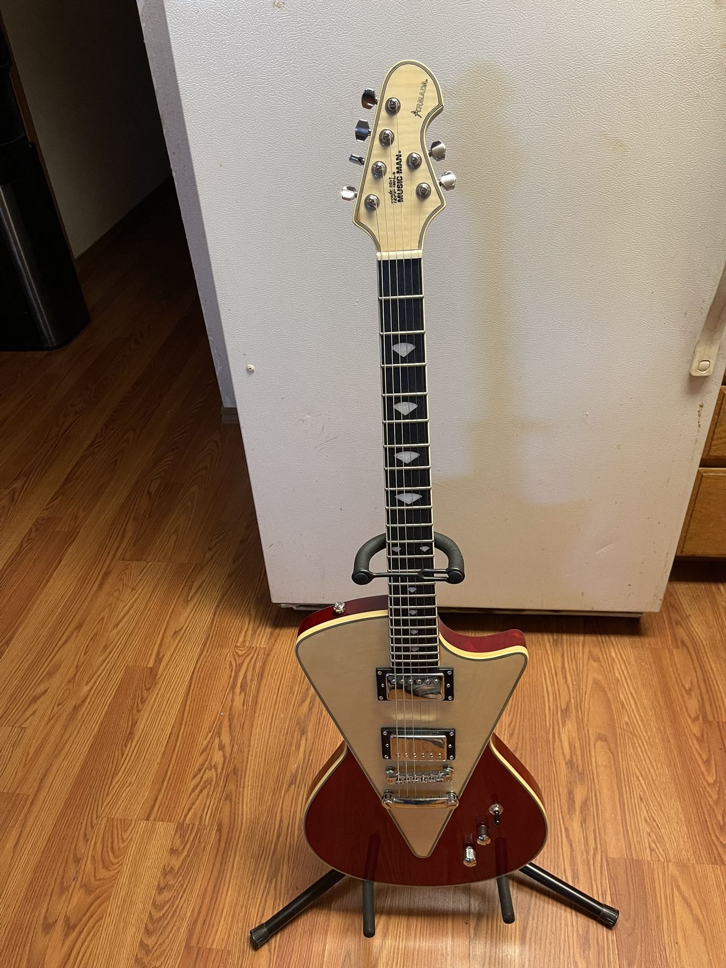 Electric Guitar