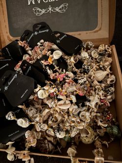 Accessory Seashell Jewelry Necklaces
