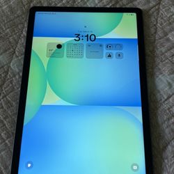 Samsung S10 FE Tablet