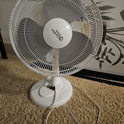 16" Fan