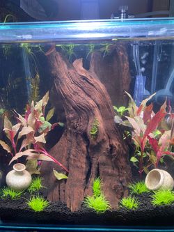 9 cubic inch fish tank