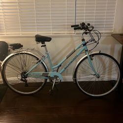 Schwinn Baby Blue Adult Bike