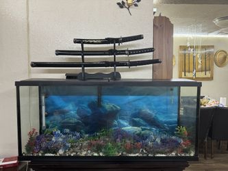Fish Tank