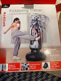 Kick boxing trainer