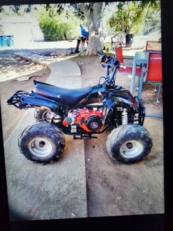 Mini quad (new 224 predator engine)49mph(600$