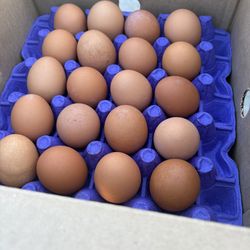 Huevo jumbo del rojo