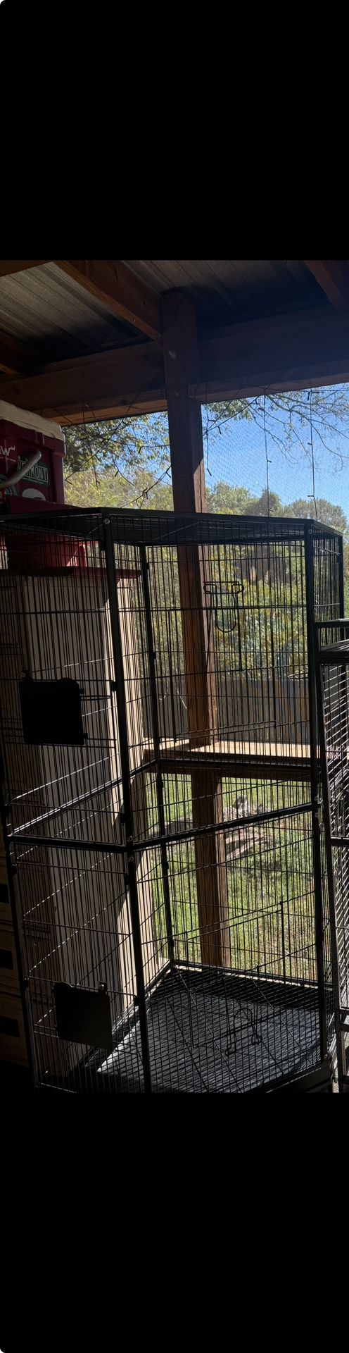 5ft Tall 3ft Wide Bird Cage