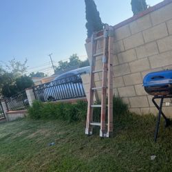 12ft Latter