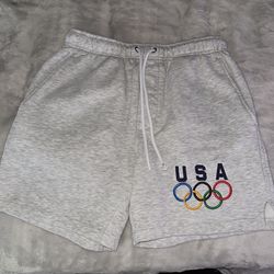 Team USA Shorts Pacsun