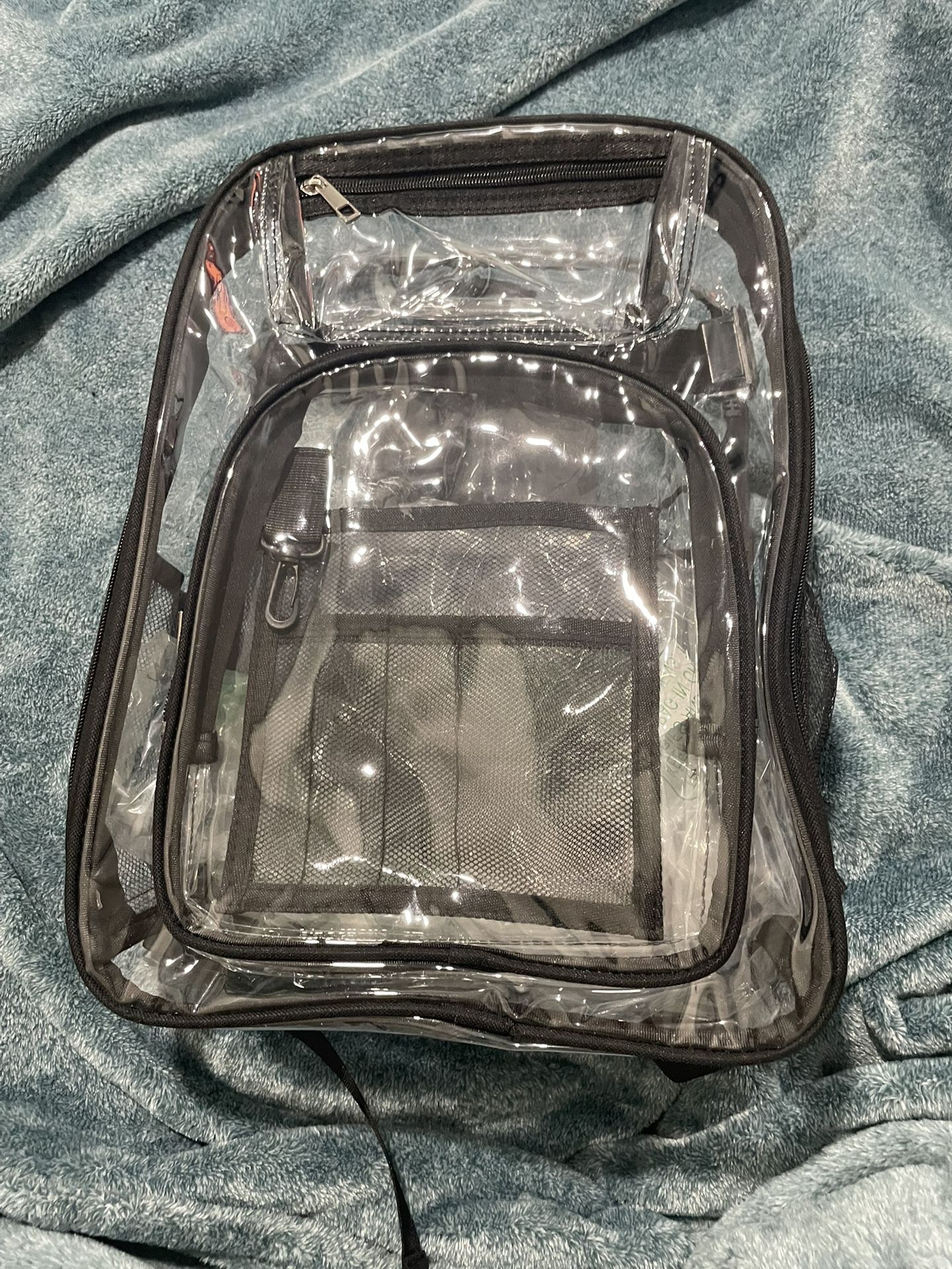 Transparent Backpack