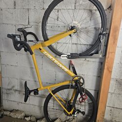 2020 Santa Cruz Stigmata CC 54cm