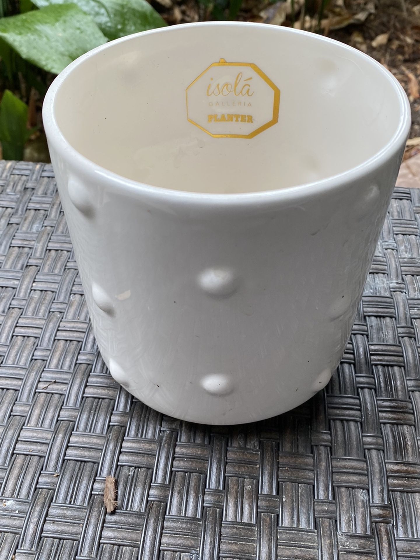 Adorable White Buttoned Dot Ceramic Glazed Planter Pot