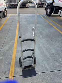 Dolly Magliner