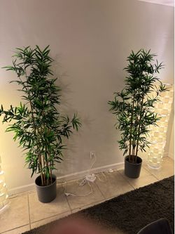 2 ikea faux bamboo plants with grey pots I bought separately