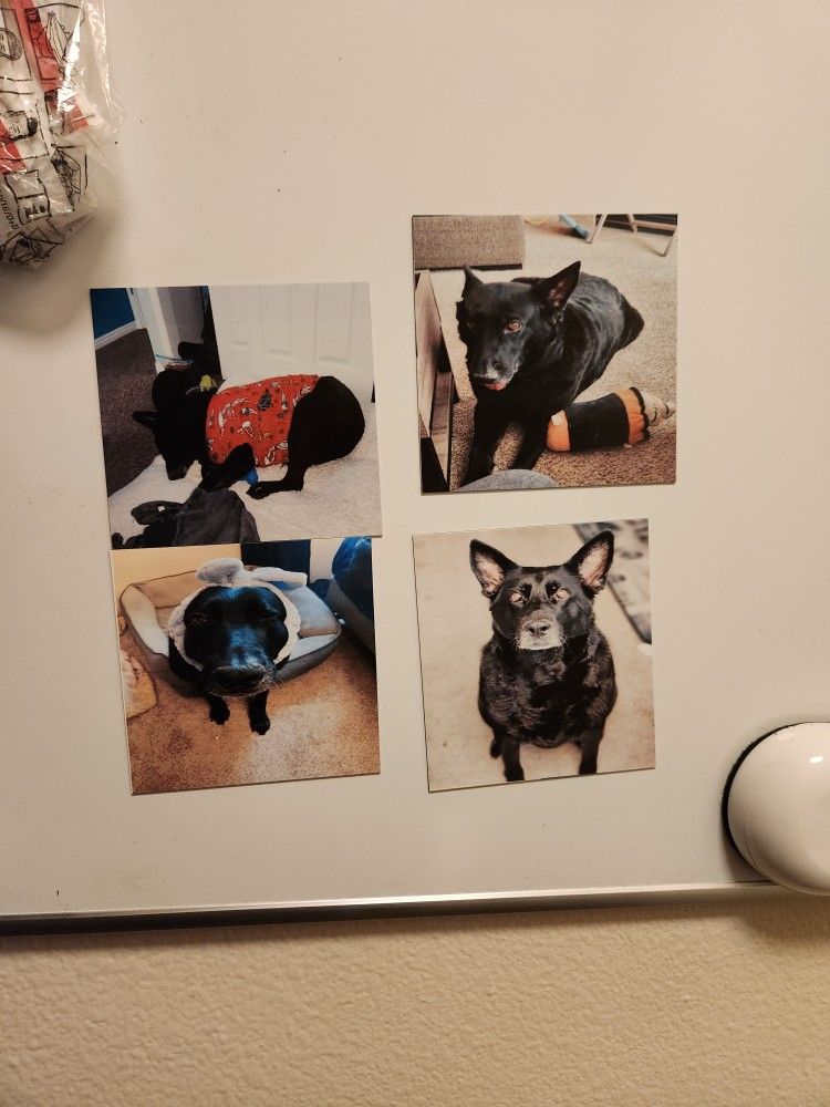 Custom Magnets!! Read Description