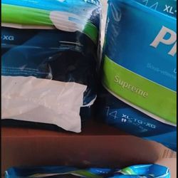 ADULT PULL UP UNDERWEAR BRIEFS